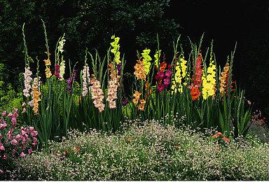 《终极闪光：破坏者》公开火焰巫师小Boss战斗实机